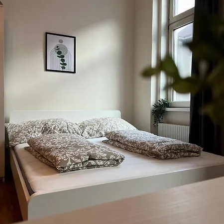 90 M2 Spacious With Free Parking * Vienna