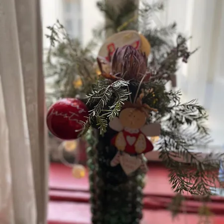 Mit Wiener Flair Apartament Viena