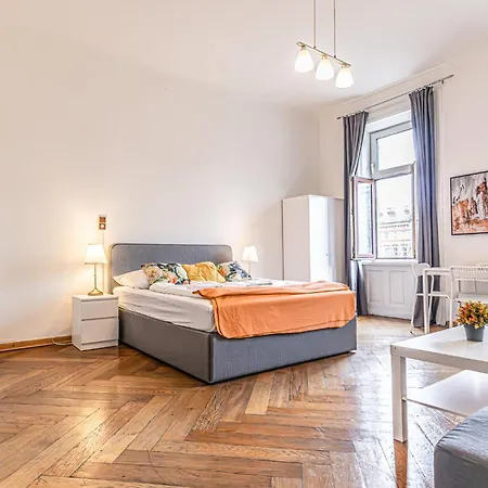 Two Charming Near Volksoper And Akh Apartment