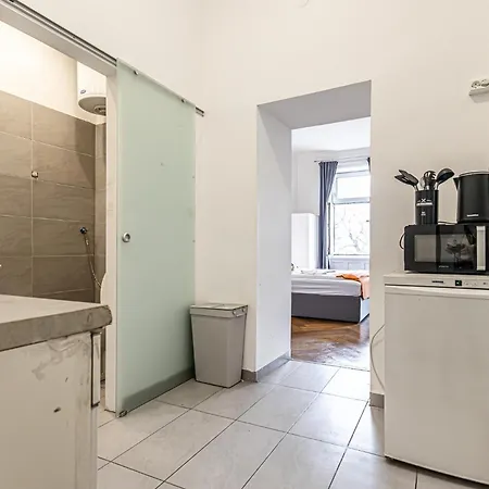 Two Charming Near Volksoper And Akh Apartment