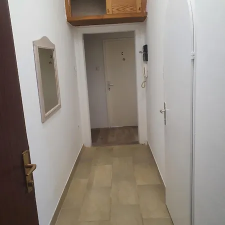 Massive 6br Apt. Near Millenium For Big Groups