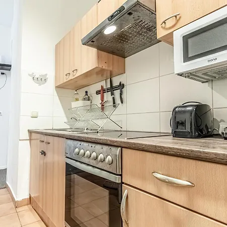 6br / Shared Garden Near Lorenz Boehler & Danube Apartment Vienna