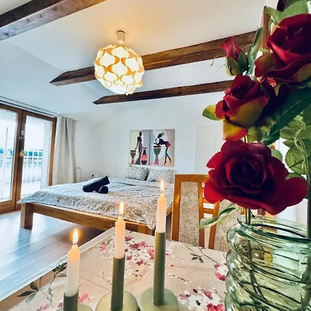 Apartment Cozy In A For Groups, 16-mins To Blumengaerten Wien