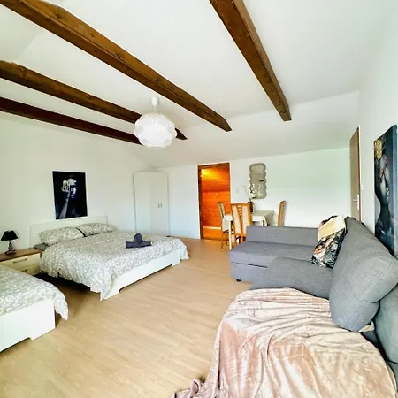 Cozy In A For Groups, 16-mins To Blumengaerten Apartment Wien