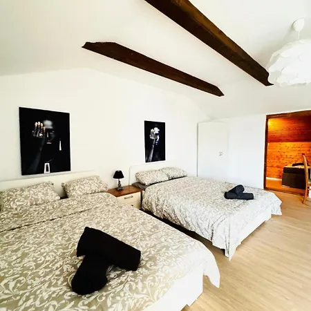 Apartment Cozy In A For Groups, 16-mins To Blumengaerten