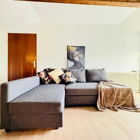 Apartment Cozy In A For Groups, 16-mins To Blumengaerten Wien