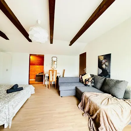 Cozy In A For Groups, 16-mins To Blumengaerten Apartment