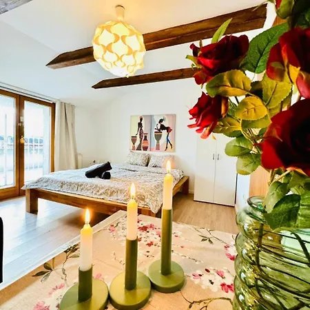 Apartment Cozy In A For Groups, 16-mins To Blumengaerten Wien
