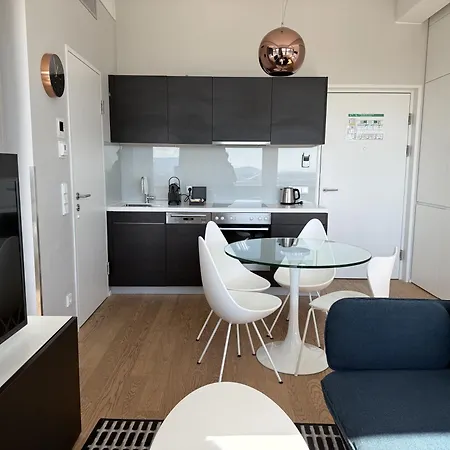 Apartment Penthouse-flair With Skyline-view