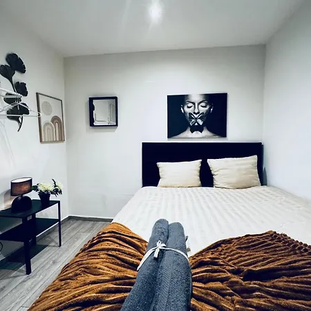 Elegant 5-br Ideal For Groups & Families Apartment