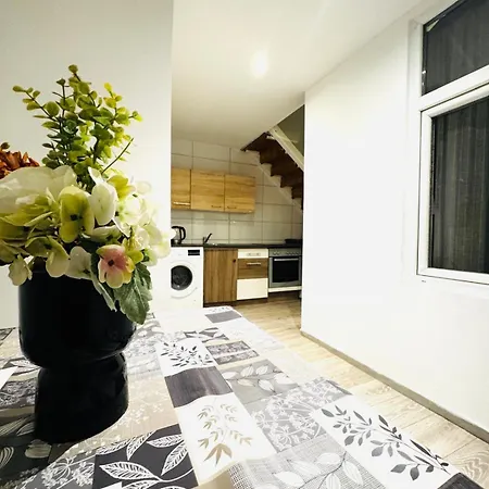 Apartment Elegant 5-br Ideal For Groups & Families
