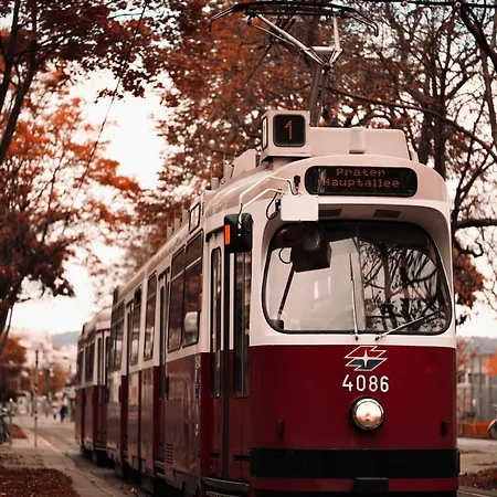 Hideauts R * Vienna