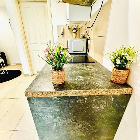 Charming At Maerzstrasse Close To Attractions Viena