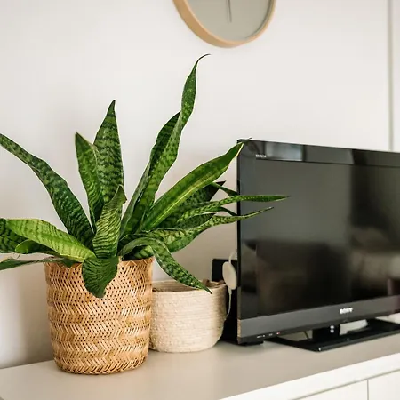 Carro Apartmán