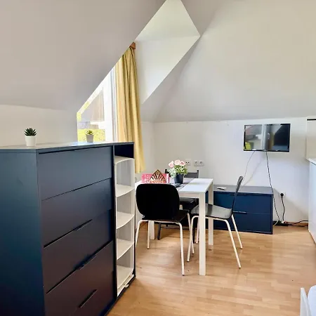 With Fitness & Free Parking Apartament Viena
