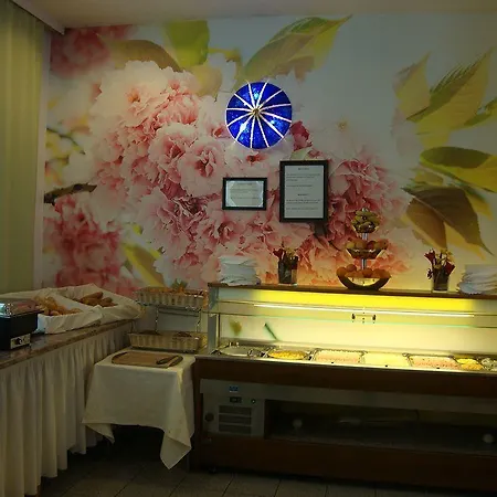 雷纳斯都瑙酒店 3*