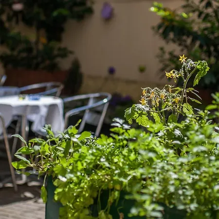 Boutique Donauwalzer 3*