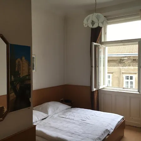 Ani Viena