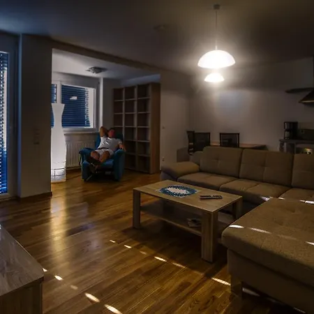 Potzmann Apartment Vienna