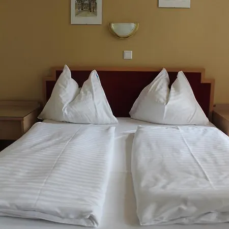 Hotel Rustler 2*