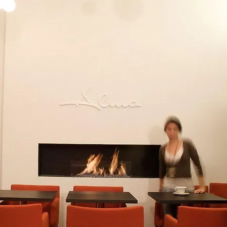 Alma Boutique-hotel וינה