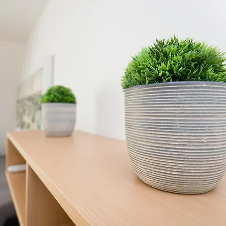 Apartment Sas-niccy