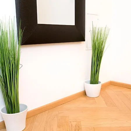 Sas-niccy Apartment