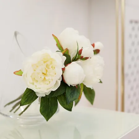 Apartament Vienna-flats Wiedeń