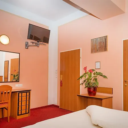 Vayalen Boutique 3*