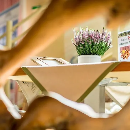 Enziana Hotel Wenen