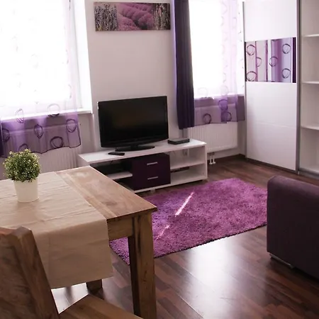 Apartment Haberlgasse *