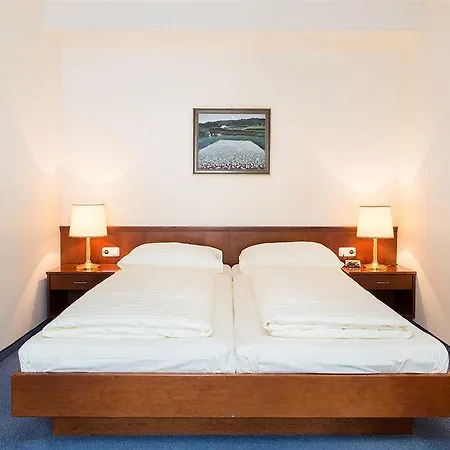 Thuringer Hof 3* Wien