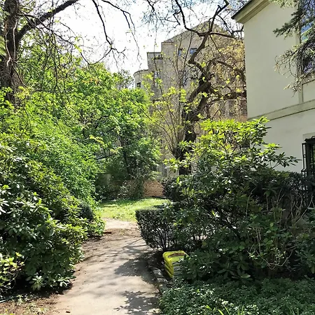 Counts 65 - Slightly Different Apartments *