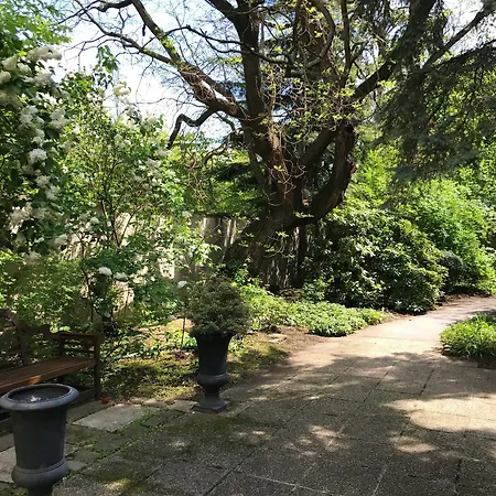 Counts 65 - Slightly Different Apartments * Vienna