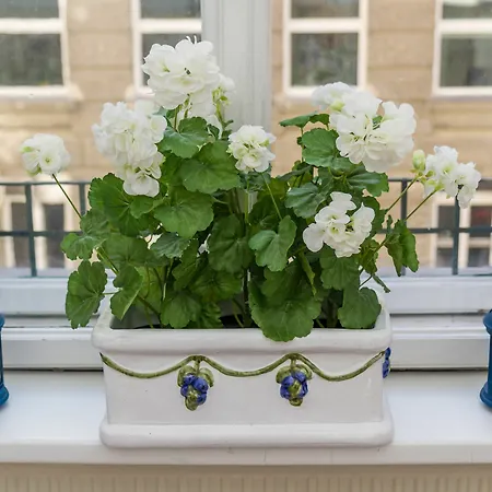 Alsergrund Luxury By Welcome2vienna
