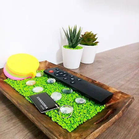 Smart Mini