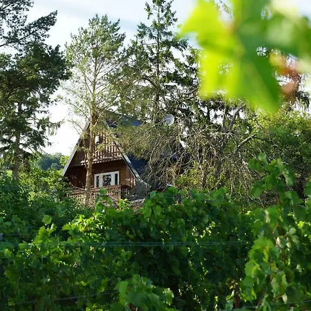 Vacationhome In The Vineyards Holiday home
