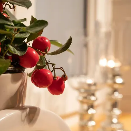 Apartment Vienna. Your Second Abroad