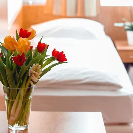 Allegro Hotel 3*