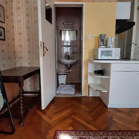 Apartment Downtown Vienna