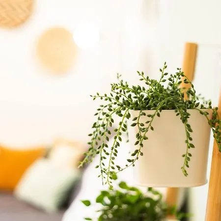 Apartment & Cozy - 15 Min To Center *