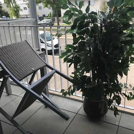 Red Flower With Pool - 5 Min To Apartment *