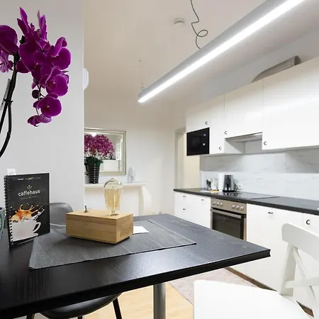 Apartment Central And Chic - The Big One Vienna