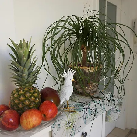 Zieglergasse Apartment *