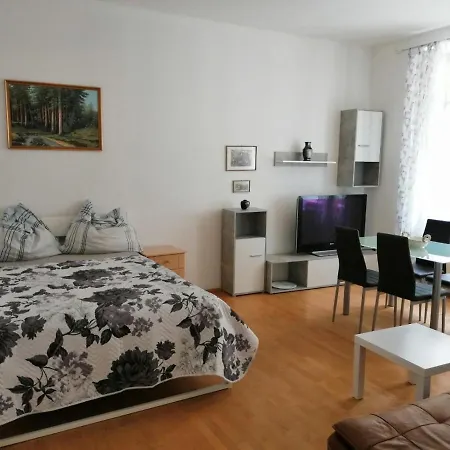 Apartment Diana-contactless Check-in! Vienna