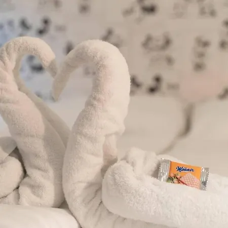 Comfort In Zentrumsnaehe I Levestate Διαμέρισμα *
