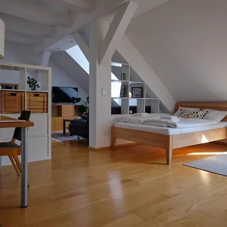 Loft Apartment Vienna