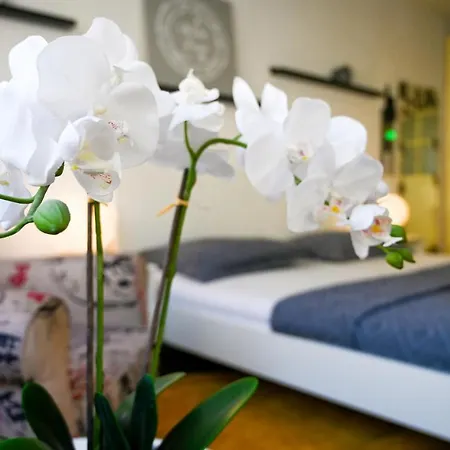 Apartment Cozy Margareten Vienna