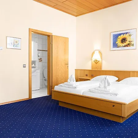 Hotel Hotel-pension Wild 2*