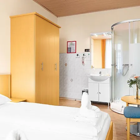 Hotel-pension Wild 2* Wenen